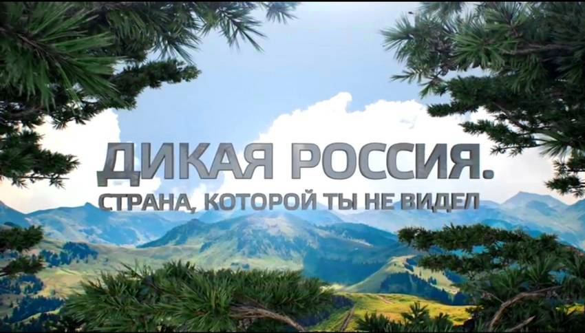 Включи фильм бентли